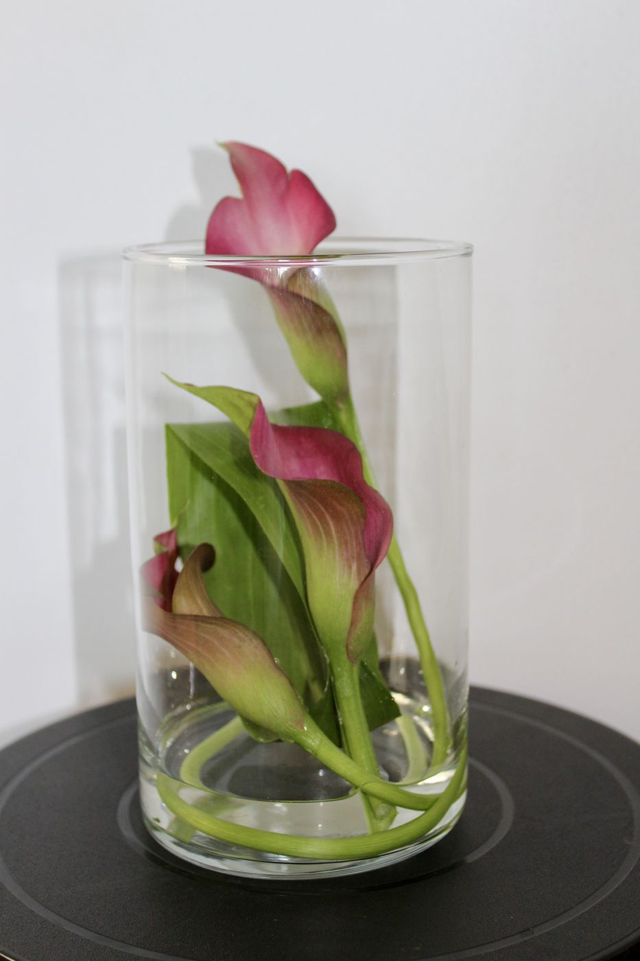 Callas roses en vase cylindrique