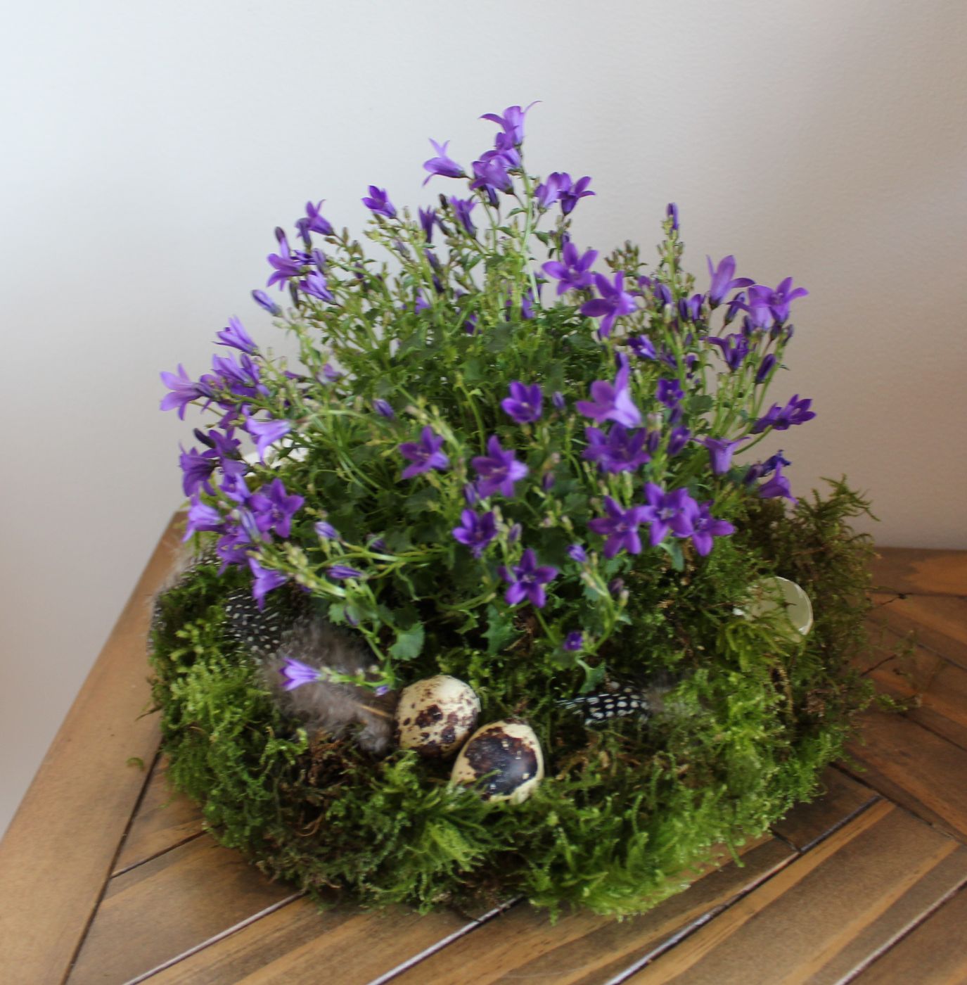 Composition de campanules violettes