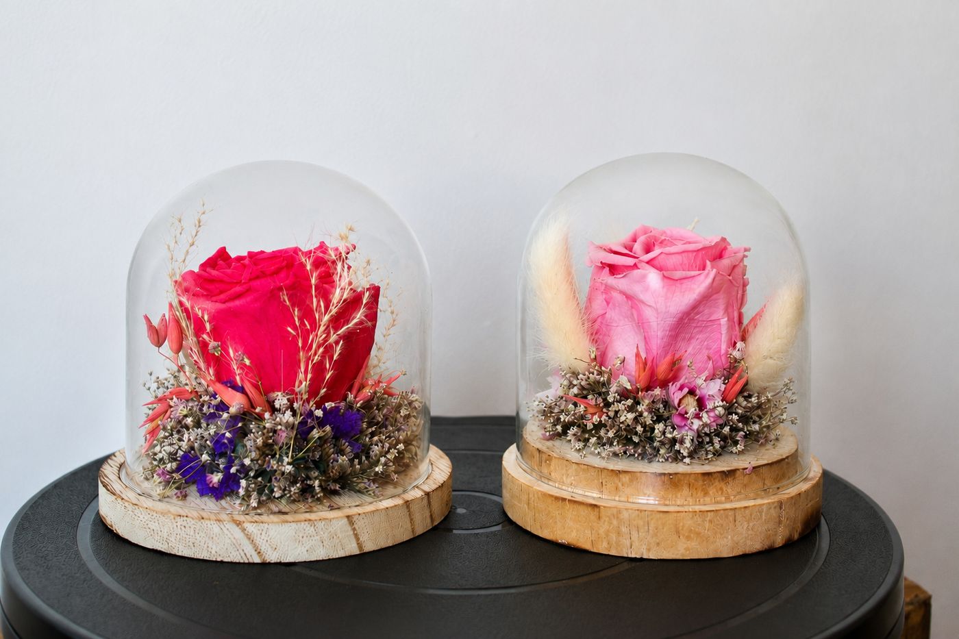 Roses éternelles sous cloche de verre