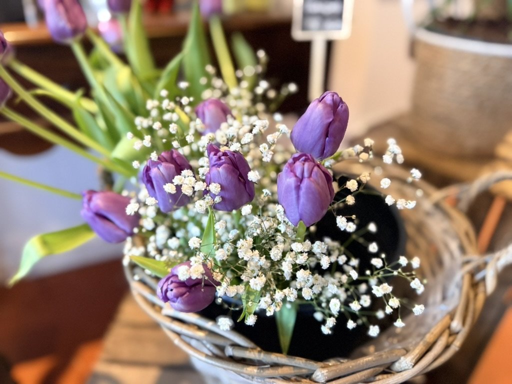 Tulipes violettes et gypsophile