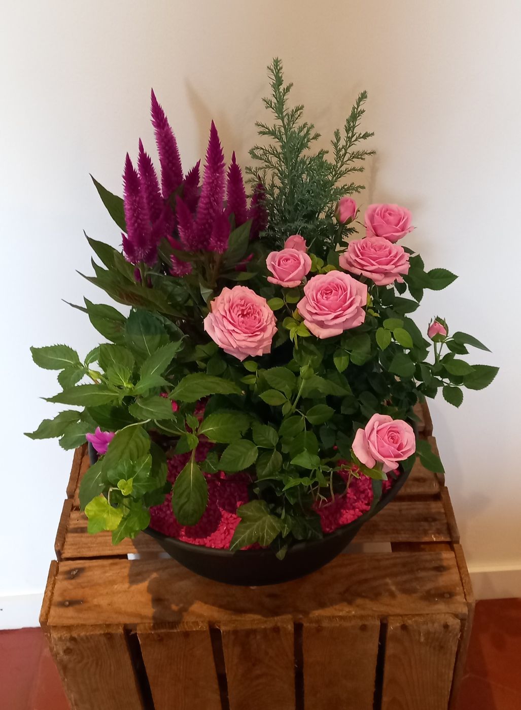 Jardinière de roses et celosia